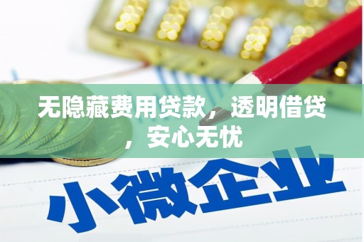 大渡口无隐藏费用贷款，透明借贷，安心无忧