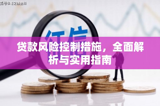 大渡口贷款风险控制措施，全面解析与实用指南