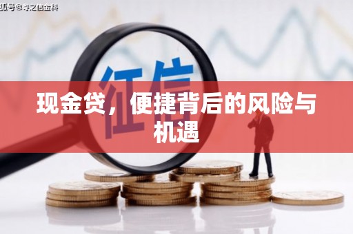 大渡口现金贷，便捷背后的风险与机遇