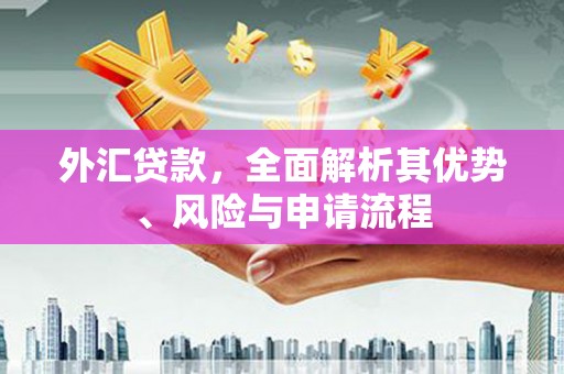 大渡口外汇贷款，全面解析其优势、风险与申请流程