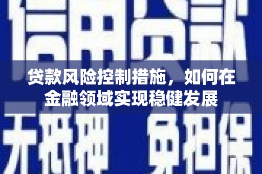 大渡口贷款风险控制措施，如何在金融领域实现稳健发展