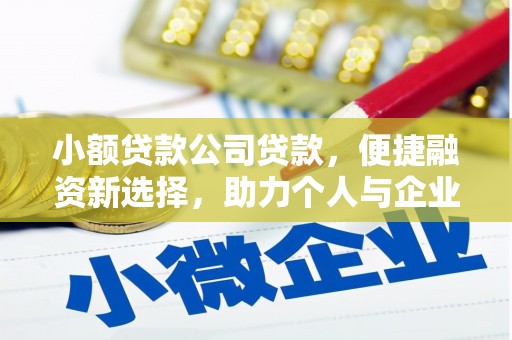 大渡口小额贷款公司贷款，便捷融资新选择，助力个人与企业成长
