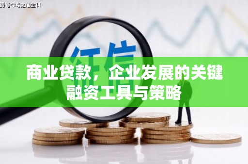 大渡口商业贷款，企业发展的关键融资工具与策略