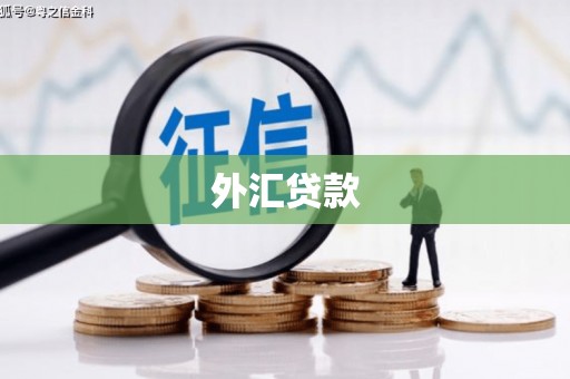 大渡口外汇贷款