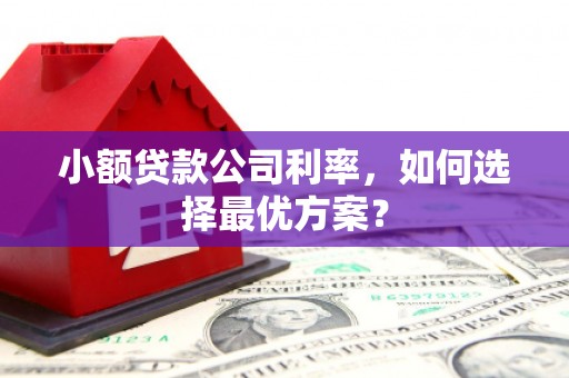 大渡口小额贷款公司利率，如何选择最优方案？