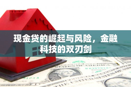 大渡口现金贷的崛起与风险，金融科技的双刃剑