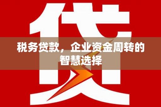 大渡口税务贷款，企业资金周转的智慧选择