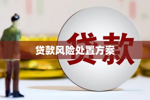 大渡口贷款风险处置方案