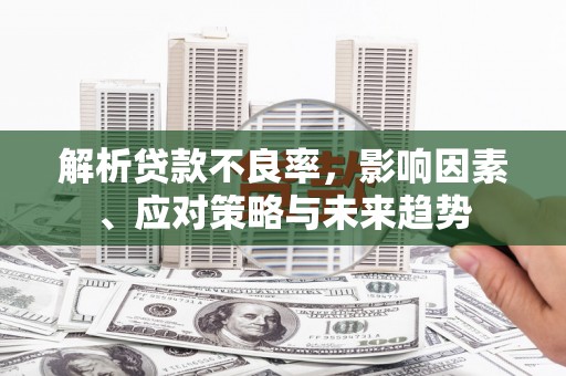 大渡口解析贷款不良率，影响因素、应对策略与未来趋势