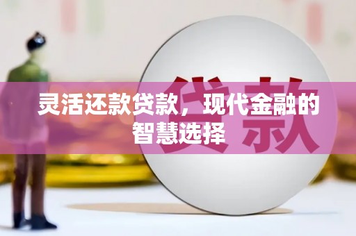 大渡口灵活还款贷款，现代金融的智慧选择