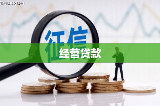 大渡口经营贷款