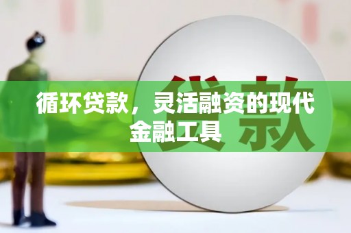 大渡口循环贷款，灵活融资的现代金融工具