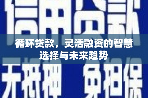 大渡口循环贷款，灵活融资的智慧选择与未来趋势