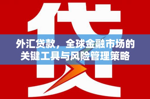大渡口外汇贷款，全球金融市场的关键工具与风险管理策略