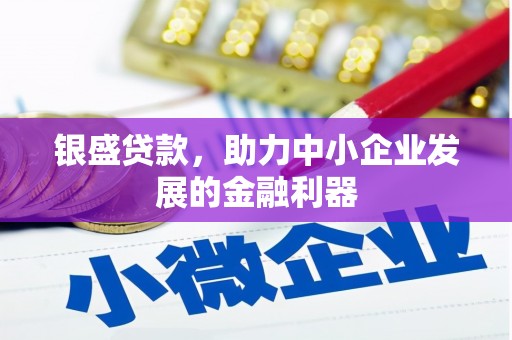 大渡口银盛贷款，助力中小企业发展的金融利器