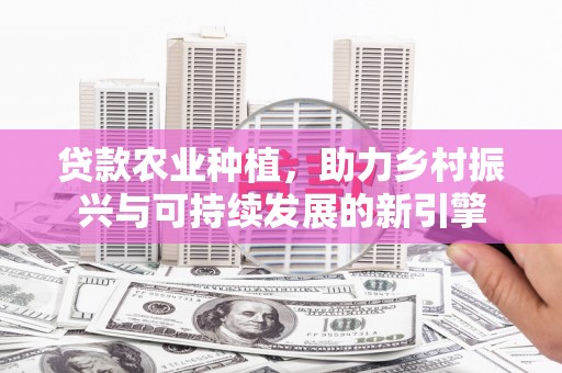 大渡口贷款农业种植，助力乡村振兴与可持续发展的新引擎