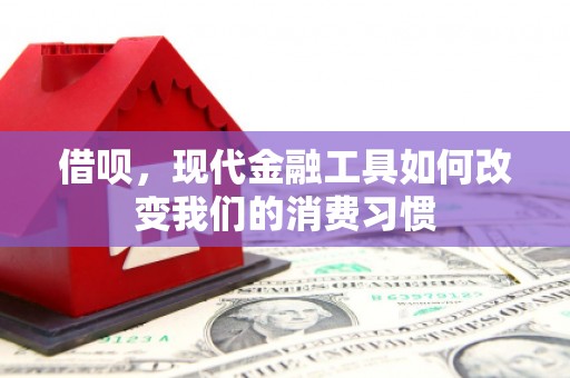 大渡口借呗，现代金融工具如何改变我们的消费习惯