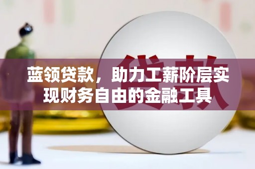 大渡口蓝领贷款，助力工薪阶层实现财务自由的金融工具