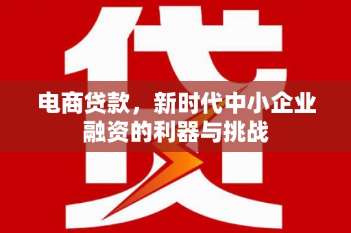 大渡口电商贷款，新时代中小企业融资的利器与挑战