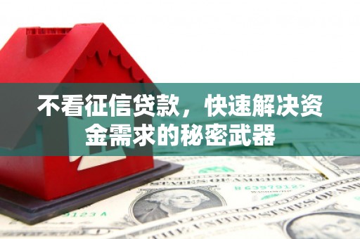 大渡口不看征信贷款，快速解决资金需求的秘密武器