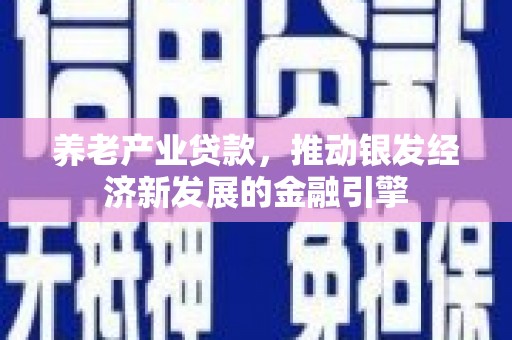 大渡口养老产业贷款，推动银发经济新发展的金融引擎