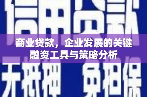 大渡口商业贷款，企业发展的关键融资工具与策略分析