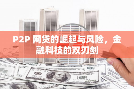 大渡口P2P 网贷的崛起与风险，金融科技的双刃剑
