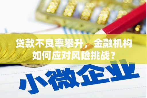 大渡口贷款不良率攀升，金融机构如何应对风险挑战？