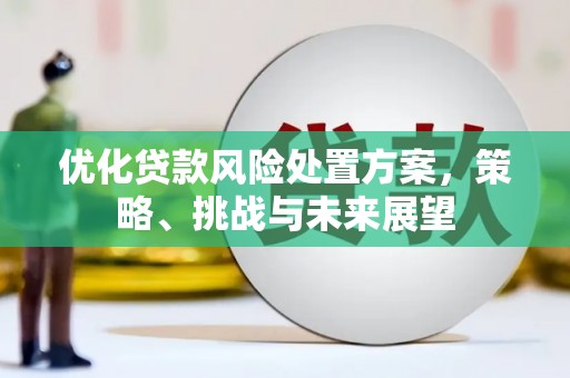 大渡口优化贷款风险处置方案，策略、挑战与未来展望