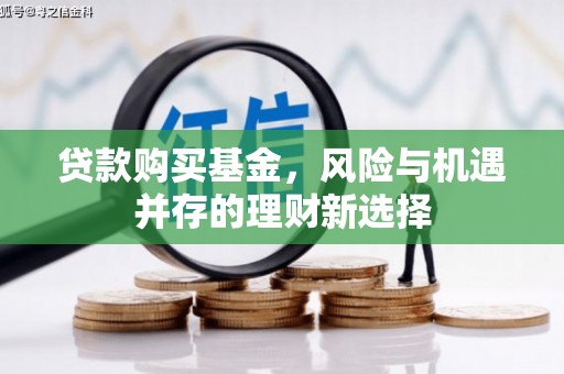 大渡口贷款购买基金，风险与机遇并存的理财新选择