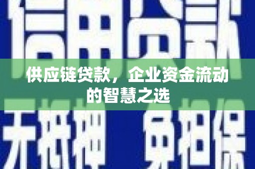 大渡口供应链贷款，企业资金流动的智慧之选