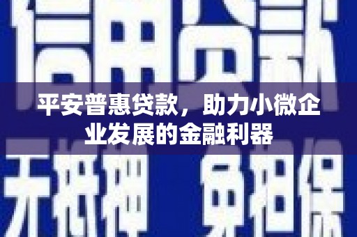 大渡口平安普惠贷款，助力小微企业发展的金融利器