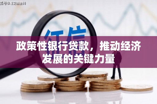 大渡口政策性银行贷款，推动经济发展的关键力量