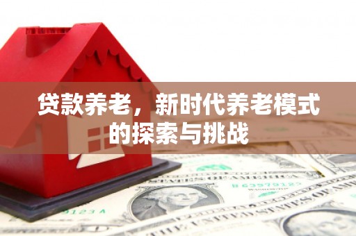 大渡口贷款养老，新时代养老模式的探索与挑战