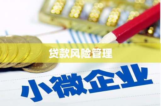 大渡口贷款风险管理