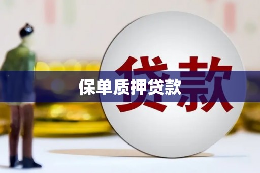 大渡口保单质押贷款