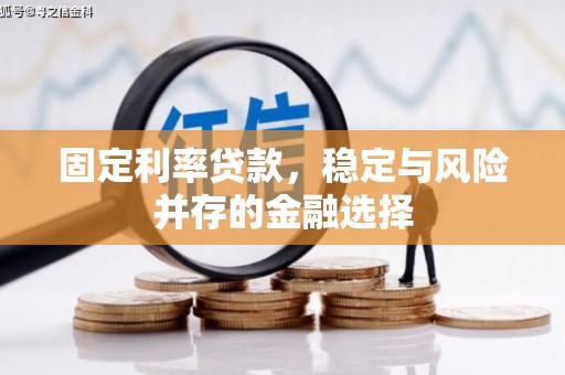 大渡口固定利率贷款，稳定与风险并存的金融选择