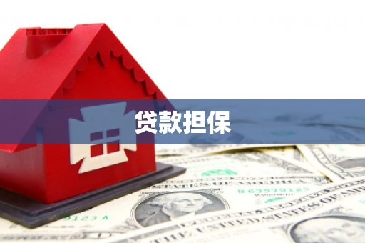 大渡口贷款担保