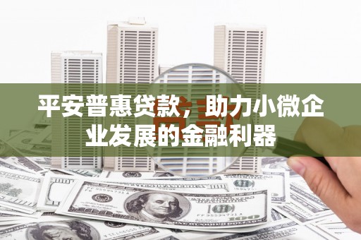 大渡口平安普惠贷款，助力小微企业发展的金融利器