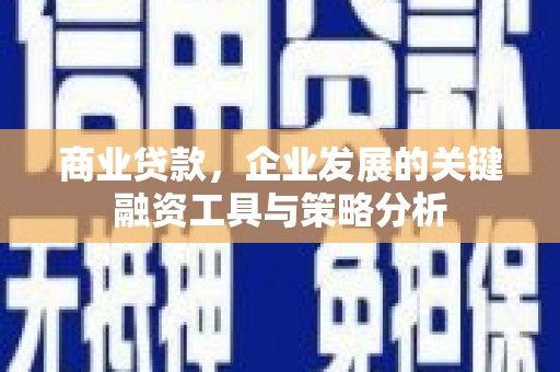 大渡口商业贷款，企业发展的关键融资工具与策略分析
