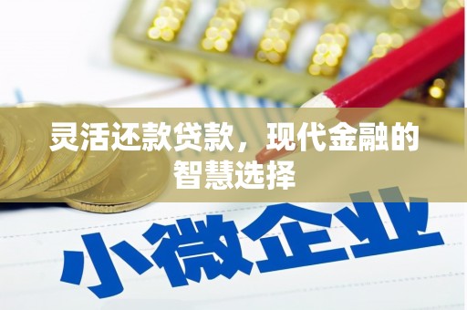 大渡口灵活还款贷款，现代金融的智慧选择