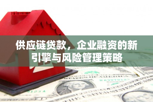 大渡口供应链贷款，企业融资的新引擎与风险管理策略