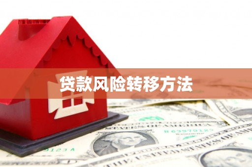 大渡口贷款风险转移方法