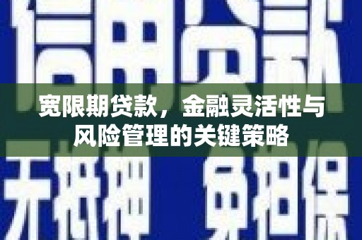 大渡口宽限期贷款，金融灵活性与风险管理的关键策略
