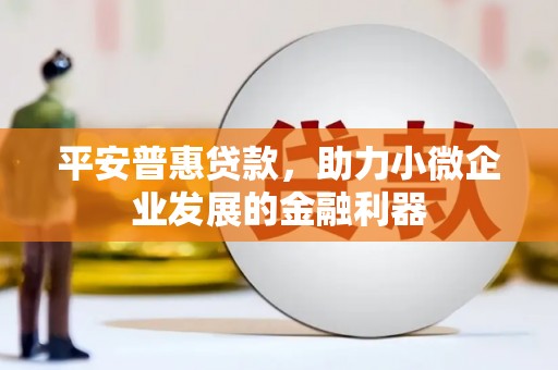 大渡口平安普惠贷款，助力小微企业发展的金融利器