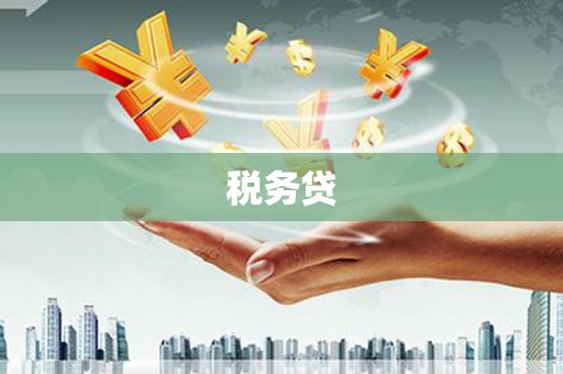 大渡口税务贷