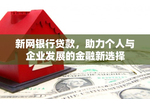 大渡口新网银行贷款，助力个人与企业发展的金融新选择