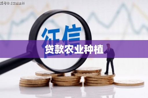 大渡口贷款农业种植