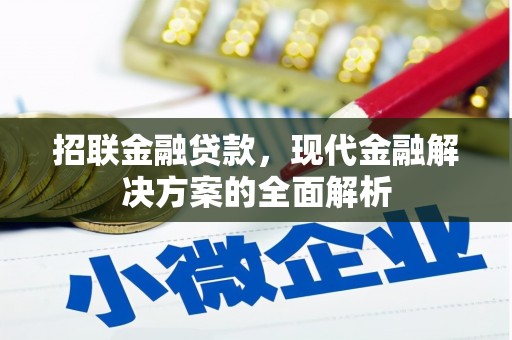 大渡口招联金融贷款，现代金融解决方案的全面解析