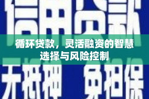 大渡口循环贷款，灵活融资的智慧选择与风险控制